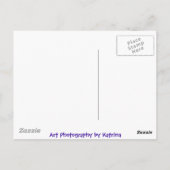 フラワーズインオーシャンサイドマリーナ ポストカード (裏面)