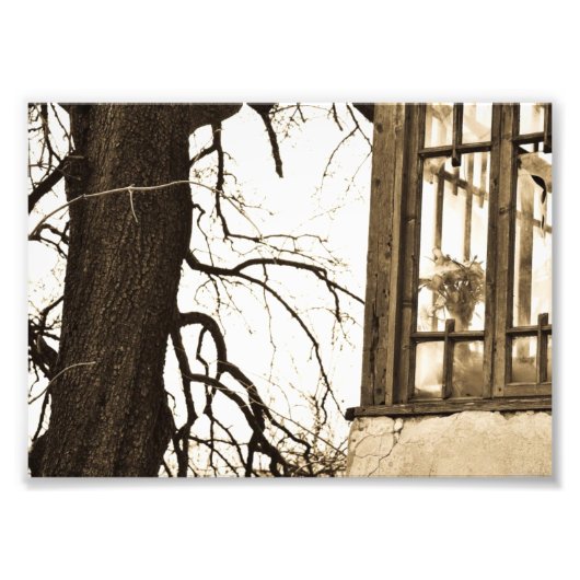 フラワーズインオールドハウスフォトプリント フォトプリント            (正面)