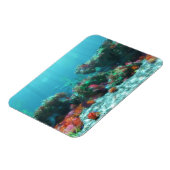 フラワーズオブザシーフレキシブルマグネット マグネット (左側)