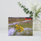 フラワーズオンブルクリーク ポストカード (スタンド正面)