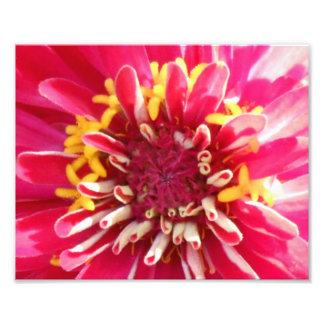 フラワーセンタークローズアップ フォトプリント