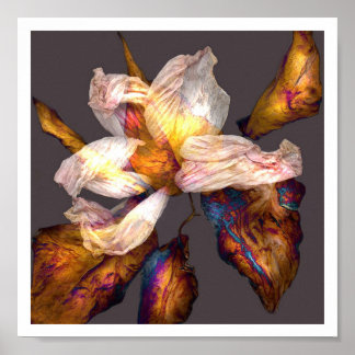 フラワーソング ポスター