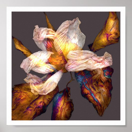 フラワーソング ポスター (正面)