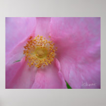 フラワーゾーンに飛び込め！