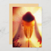 フラワーデザインのフラットカード (正面/裏面)