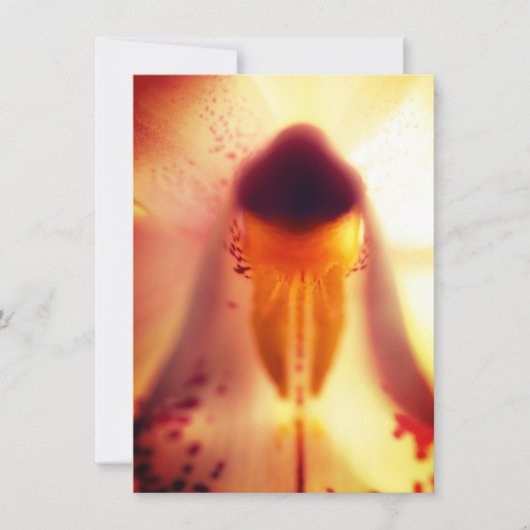 フラワーデザインのフラットカード (正面)