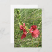 フラワーノテカード サンキューカード (正面/裏面)