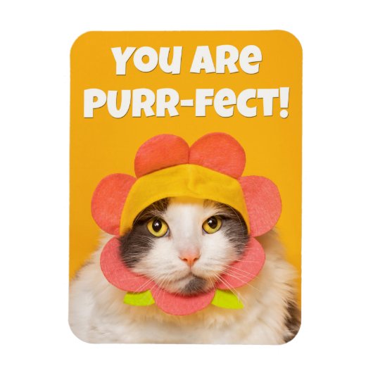 フラワーハットユーモアのかわいい猫|過去記事 マグネット (縦)