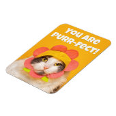 フラワーハットユーモアのかわいい猫|過去記事 マグネット (左側)