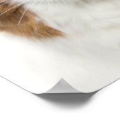 フラワーハット付き猫 ポスター (角)