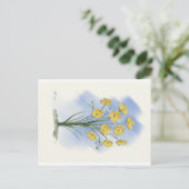 フラワーバターカップ水カラーカード ポストカード (スタンド正面)