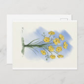 フラワーバターカップ水カラーカード ポストカード (正面/裏面)