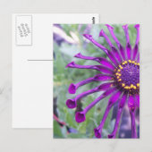 フラワーパワースパイダーパープル ポストカード (正面/裏面)