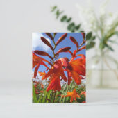 フラワーパワーテーマ ポストカード (スタンド正面)