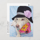 フラワーパワーマーティ ポストカード (正面/裏面)