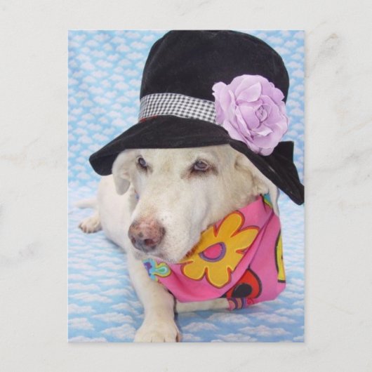 フラワーパワーマーティ ポストカード (正面)