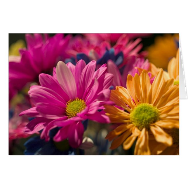 フラワーパワー (正面横)