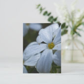 フラワーパワー ポストカード (スタンド正面)