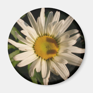 フラワーパワー マグネット