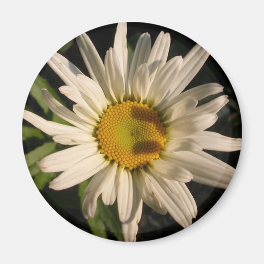 フラワーパワー マグネット (正面)