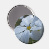 フラワーパワー マグネット (正面/裏面)