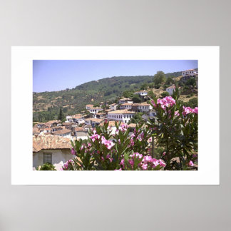 フラワービュー ポスター