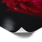 フラワーフェアリー2 ポスター (コーナー)