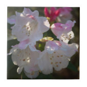 フラワーフォトタイル タイル (正面)