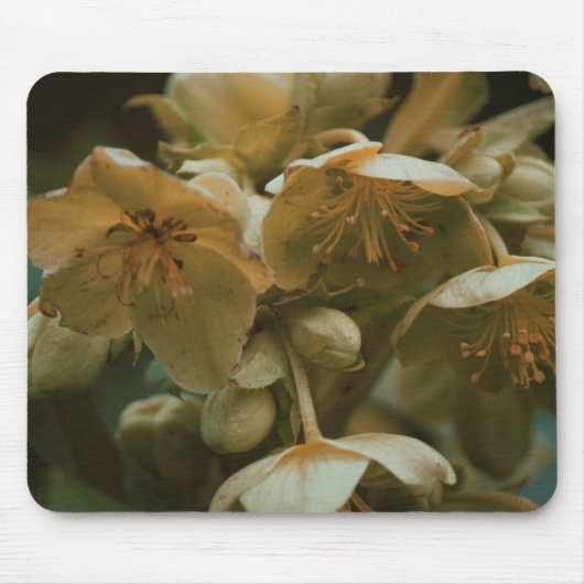 フラワーフローラマウスパッド マウスパッド (正面)