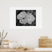 フラワープリント ポスター (キッチン)