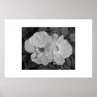 フラワープリント ポスター