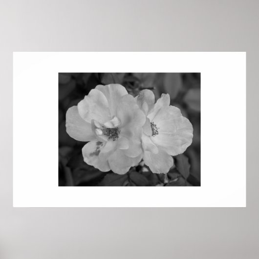 フラワープリント ポスター (正面)