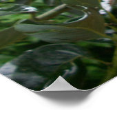 フラワーポスター ポスター (角)