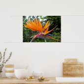 フラワーポスター ポスター (キッチン)