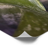 フラワーポスター ポスター (角)