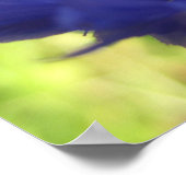 フラワーポスター ポスター (角)