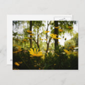 フラワーポストカード_01 ポストカード (正面/裏面)