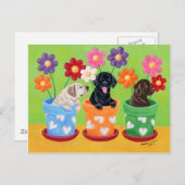 フラワーポットラブラドールパピーズ ポストカード (正面/裏面)