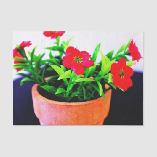 フラワーポット 薄葉紙 (正面)