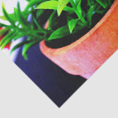 フラワーポット 薄葉紙 (詳細)