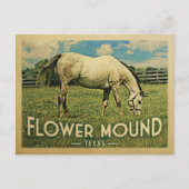フラワーマウンドテキサス州ホースファーム – ヴィンテージトラベル ポストカード (正面)