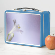 フラワーマクロ花開花花びらコピー宇宙