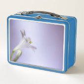 フラワーマクロ花開花花びらコピー宇宙 メタルランチボックス (正面)