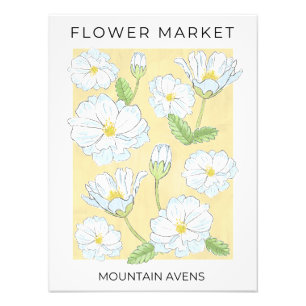 フラワーマーケットホワイトアルパインマウンテンエイベンの花 フォトプリント