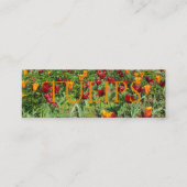 フラワーレッド&オレンジチューリップ花の写真 スキニー名刺 (正面)