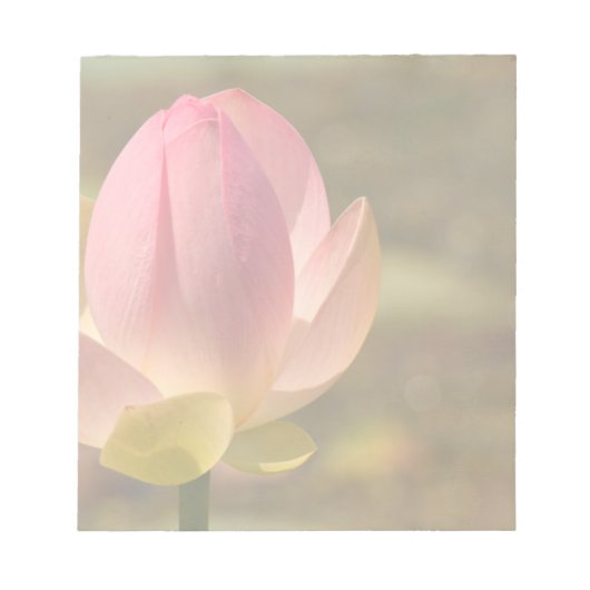 フラワーロータスメモ帳 ノートパッド (正面)