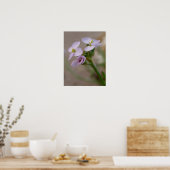 フラワー写真プリント ポスター (キッチン)