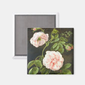 フラワー勉強 マグネット (正面/裏面)