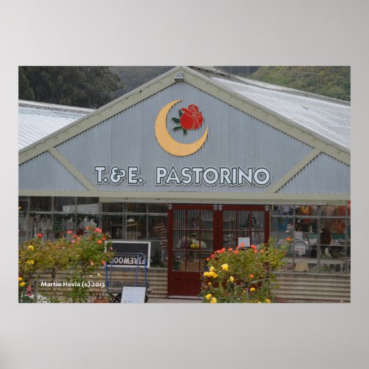 フラワー子供部屋 ポスター (正面)