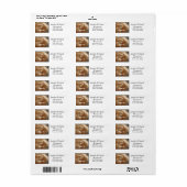 フラワー素朴住所 シールクリームバラ ラベル (フルシート)